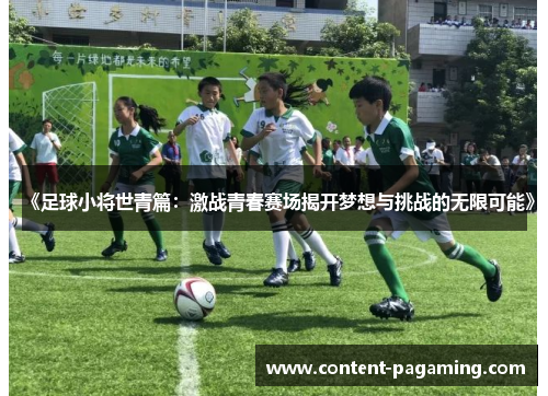 《足球小将世青篇:激战青春赛场揭开梦想与挑战的无限可能》 《足球小将世青篇:激战青春赛场揭开梦想与挑战的无限可能》