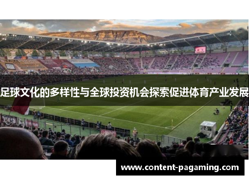 足球文化的多样性与全球投资机会探索促进体育产业发展