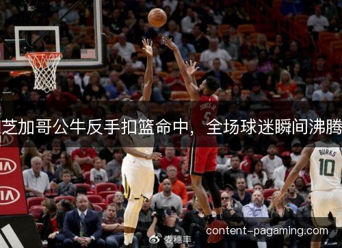 芝加哥公牛反手扣篮命中,全场球迷瞬间沸腾 芝加哥公牛反手扣篮命中,全场球迷瞬间沸腾